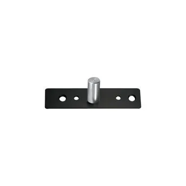 Top Pivot for Patch/ Point Fitting Doors | Finish: Black Matt
