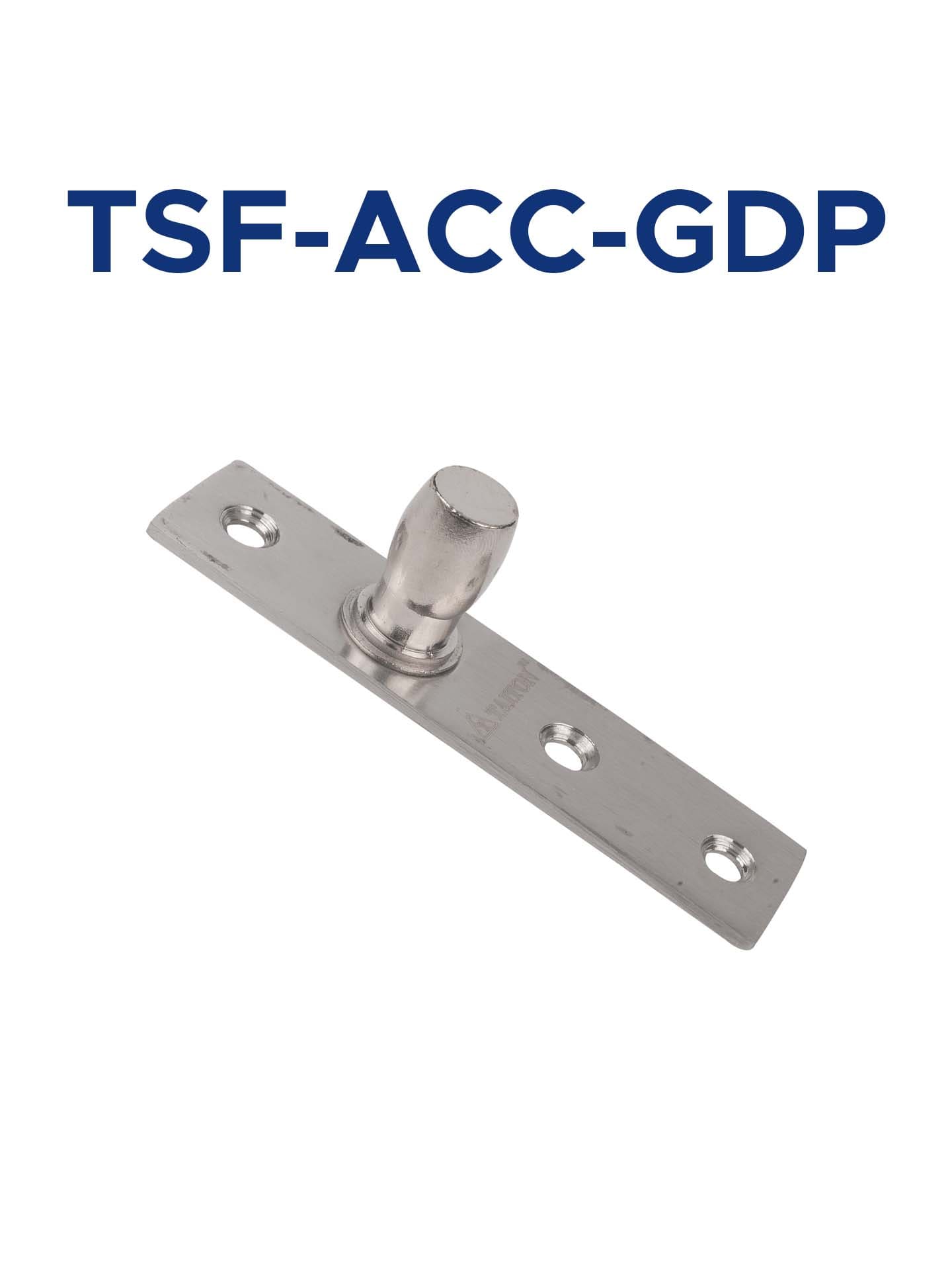 TFS-ACC-GDP