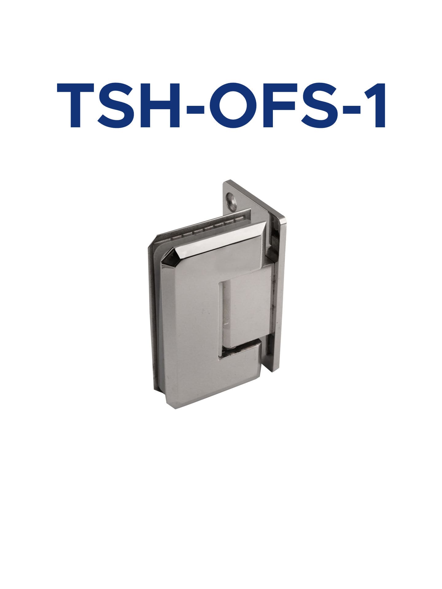 TSH-OFS-1